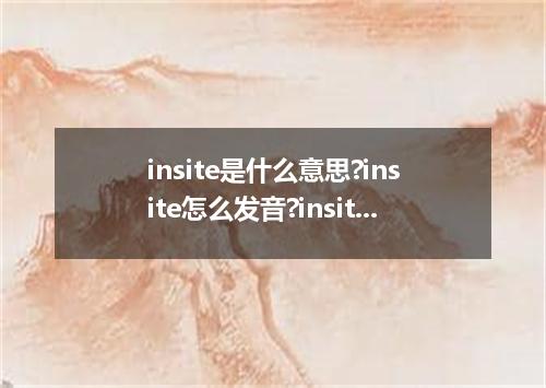 insite是什么意思?insite怎么发音?insite的解释和用法