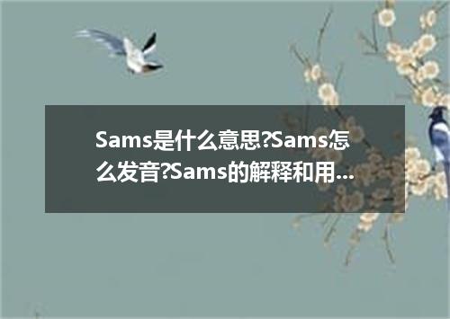 Sams是什么意思?Sams怎么发音?Sams的解释和用法