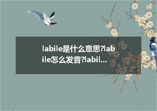 labile是什么意思?labile怎么发音?labile的解释和用法
