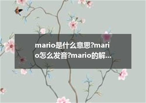 mario是什么意思?mario怎么发音?mario的解释和用法