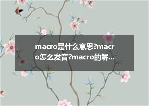 macro是什么意思?macro怎么发音?macro的解释和用法