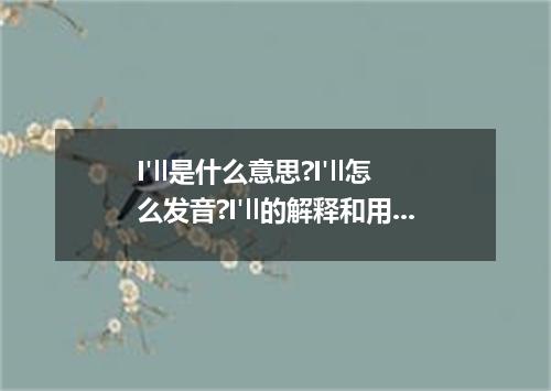 I'll是什么意思?I'll怎么发音?I'll的解释和用法