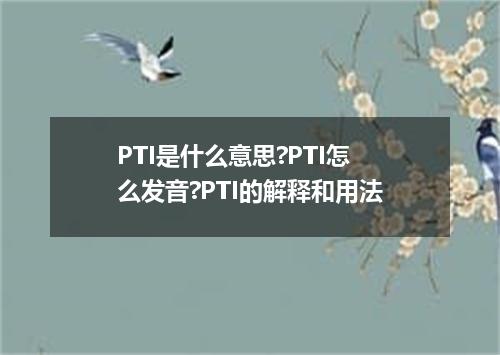 PTI是什么意思?PTI怎么发音?PTI的解释和用法