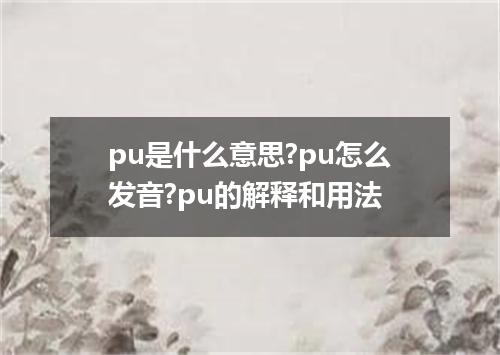 pu是什么意思?pu怎么发音?pu的解释和用法