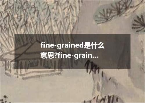 fine-grained是什么意思?fine-grained怎么发音?fine-grained的解释和用法