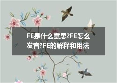 FE是什么意思?FE怎么发音?FE的解释和用法