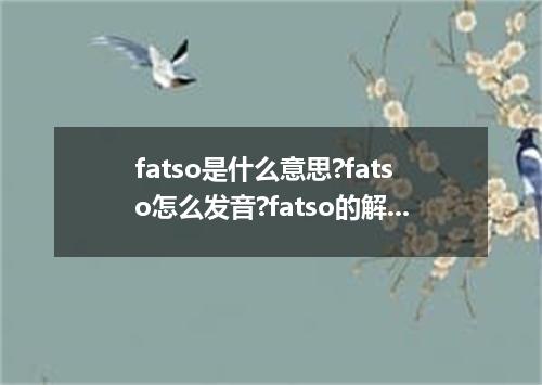 fatso是什么意思?fatso怎么发音?fatso的解释和用法