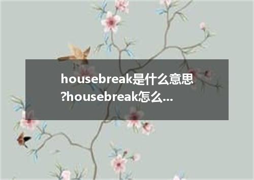 housebreak是什么意思?housebreak怎么发音?housebreak的解释和用法