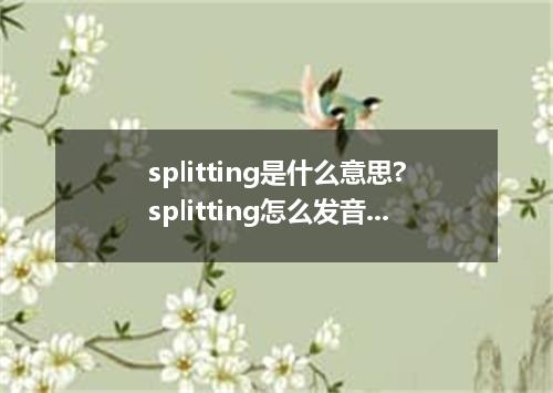 splitting是什么意思?splitting怎么发音?splitting的解释和用法