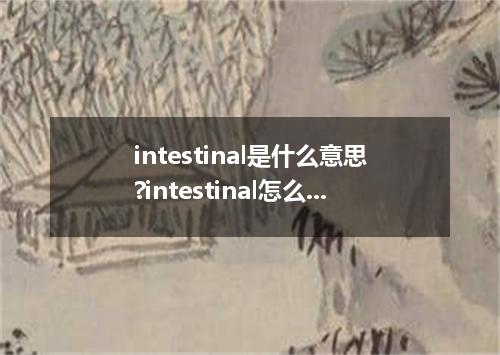 intestinal是什么意思?intestinal怎么发音?intestinal的解释和用法
