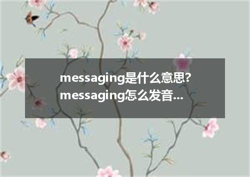 messaging是什么意思?messaging怎么发音?messaging的解释和用法