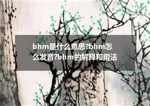 bhm是什么意思?bhm怎么发音?bhm的解释和用法