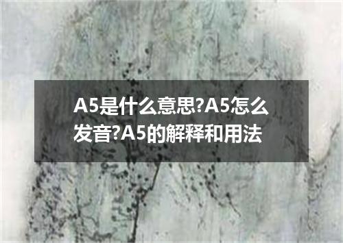 A5是什么意思?A5怎么发音?A5的解释和用法