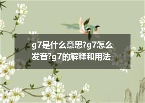 g7是什么意思?g7怎么发音?g7的解释和用法