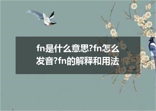 fn是什么意思?fn怎么发音?fn的解释和用法