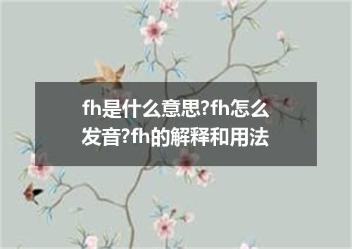 fh是什么意思?fh怎么发音?fh的解释和用法