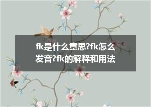 fk是什么意思?fk怎么发音?fk的解释和用法