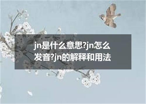 jn是什么意思?jn怎么发音?jn的解释和用法