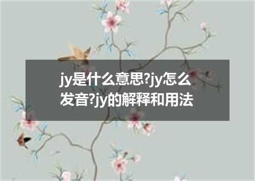 jy是什么意思?jy怎么发音?jy的解释和用法