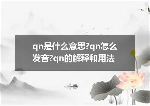 qn是什么意思?qn怎么发音?qn的解释和用法