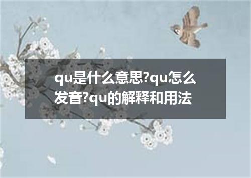 qu是什么意思?qu怎么发音?qu的解释和用法