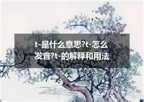 t-是什么意思?t-怎么发音?t-的解释和用法