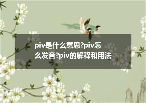 piv是什么意思?piv怎么发音?piv的解释和用法