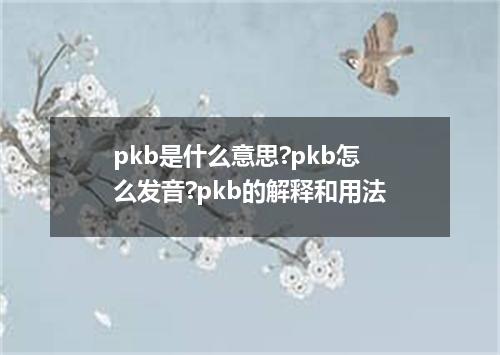 pkb是什么意思?pkb怎么发音?pkb的解释和用法