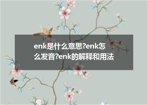 enk是什么意思?enk怎么发音?enk的解释和用法