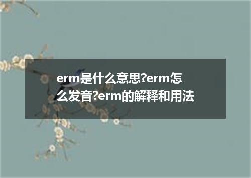 erm是什么意思?erm怎么发音?erm的解释和用法