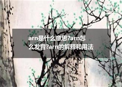 arn是什么意思?arn怎么发音?arn的解释和用法