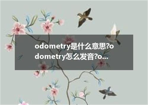 odometry是什么意思?odometry怎么发音?odometry的解释和用法