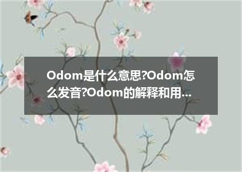 Odom是什么意思?Odom怎么发音?Odom的解释和用法