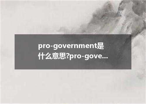 pro-government是什么意思?pro-government怎么发音?pro-government的解释和用法
