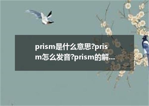 prism是什么意思?prism怎么发音?prism的解释和用法