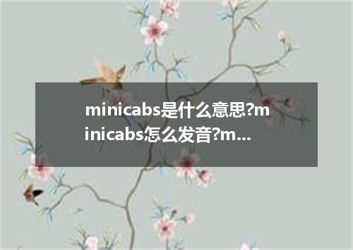 minicabs是什么意思?minicabs怎么发音?minicabs的解释和用法