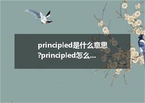 principled是什么意思?principled怎么发音?principled的解释和用法