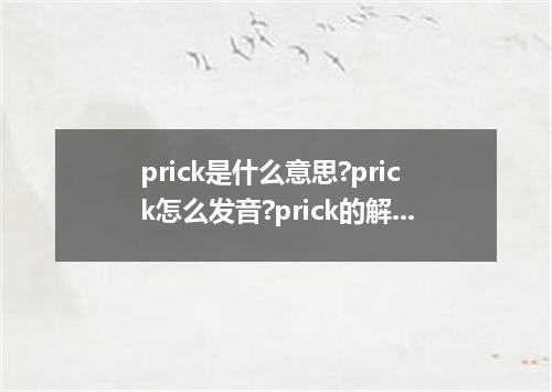 prick是什么意思?prick怎么发音?prick的解释和用法