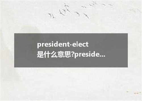 president-elect是什么意思?president-elect怎么发音?president-elect的解释和用法