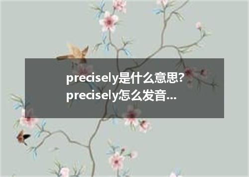 precisely是什么意思?precisely怎么发音?precisely的解释和用法