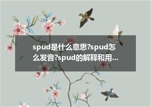 spud是什么意思?spud怎么发音?spud的解释和用法