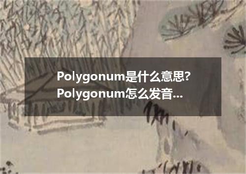 Polygonum是什么意思?Polygonum怎么发音?Polygonum的解释和用法