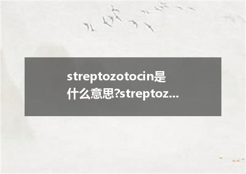 streptozotocin是什么意思?streptozotocin怎么发音?streptozotocin的解释和用法