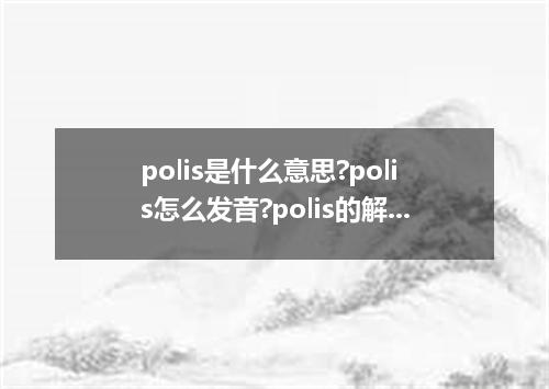 polis是什么意思?polis怎么发音?polis的解释和用法