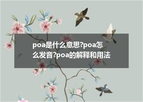 poa是什么意思?poa怎么发音?poa的解释和用法