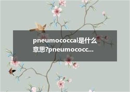 pneumococcal是什么意思?pneumococcal怎么发音?pneumococcal的解释和用法