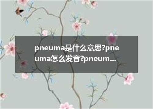 pneuma是什么意思?pneuma怎么发音?pneuma的解释和用法