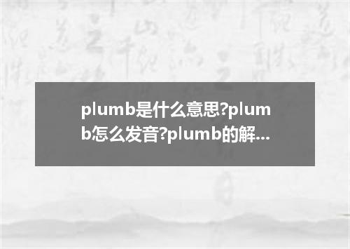 plumb是什么意思?plumb怎么发音?plumb的解释和用法