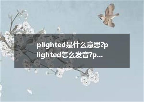 plighted是什么意思?plighted怎么发音?plighted的解释和用法