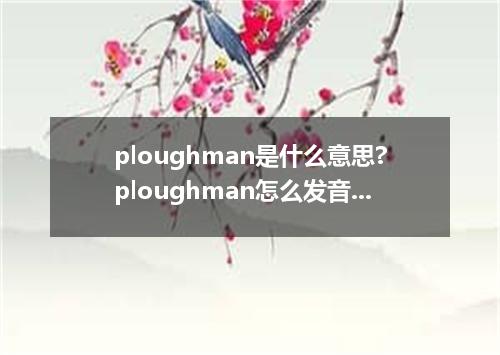 ploughman是什么意思?ploughman怎么发音?ploughman的解释和用法